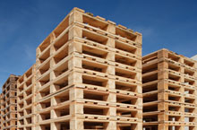 The Dangers of High Moisture Levels in Wooden Pallets