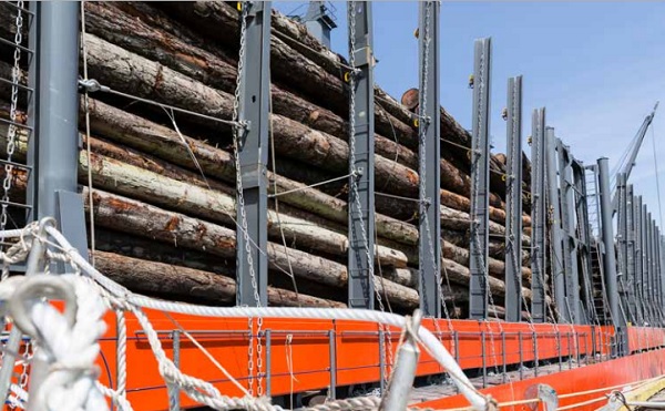 Timber Packaging Survey Results