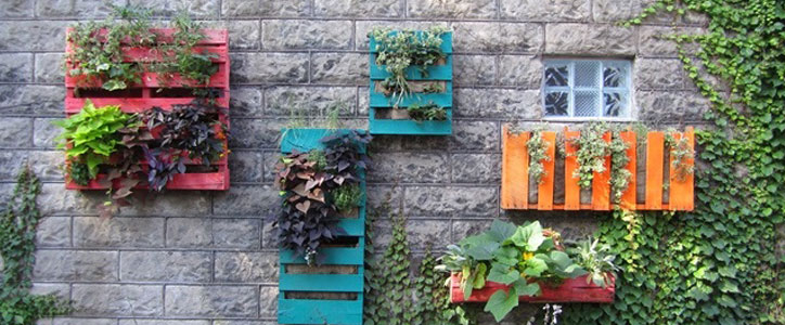 Wooden pallets up-cycled as decorative plant housing 